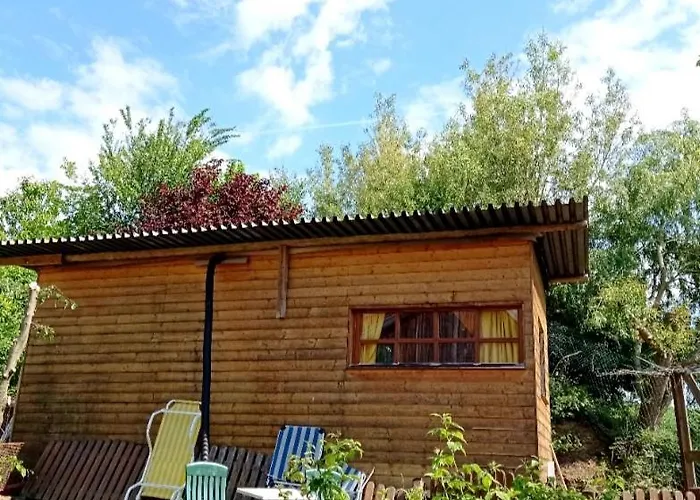 A-sissy-hof Tierschutzhof * Hanau